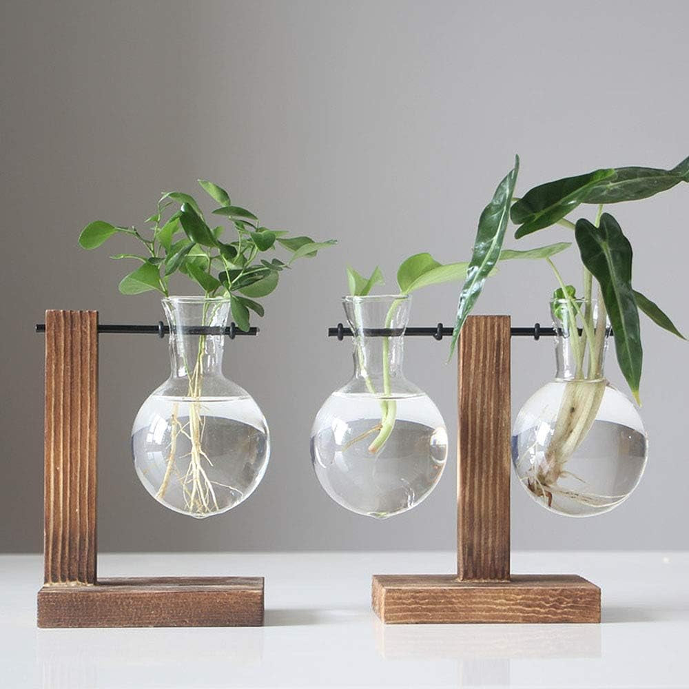 "Stunning Glass Bulb Vase with Wooden Stand - Elegant Hydroponic Plant Holder for Office, Wedding Decor, and More!"